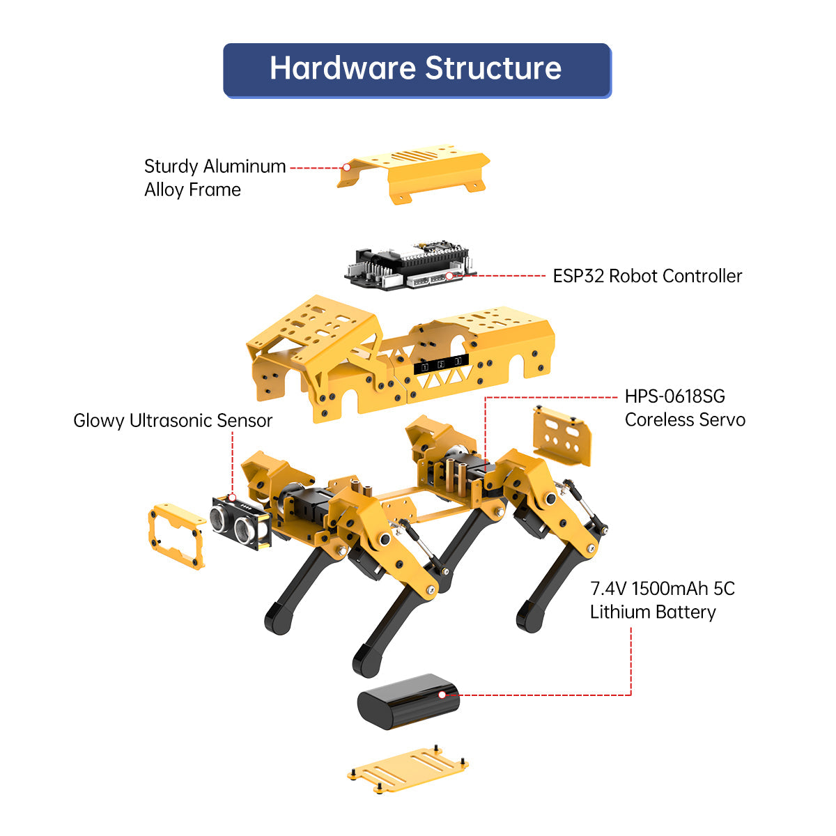 WonderHub